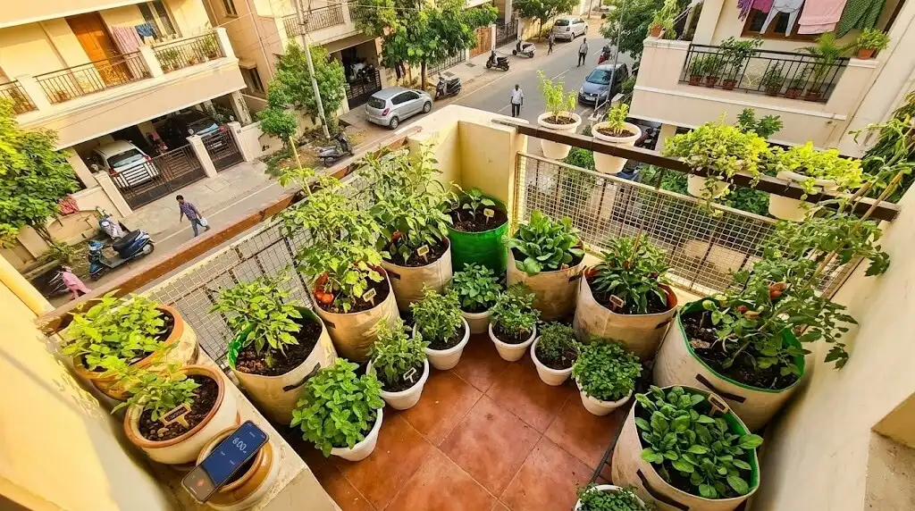 Find the Perfect Spot for Your  Urban Garden