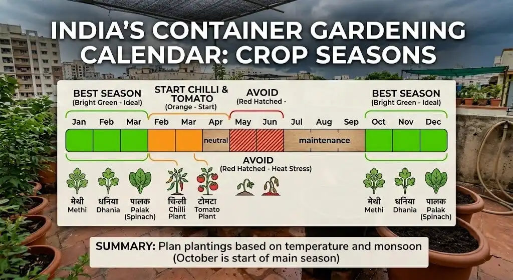 Indian crop planting calendar showing October–February as prime growing season