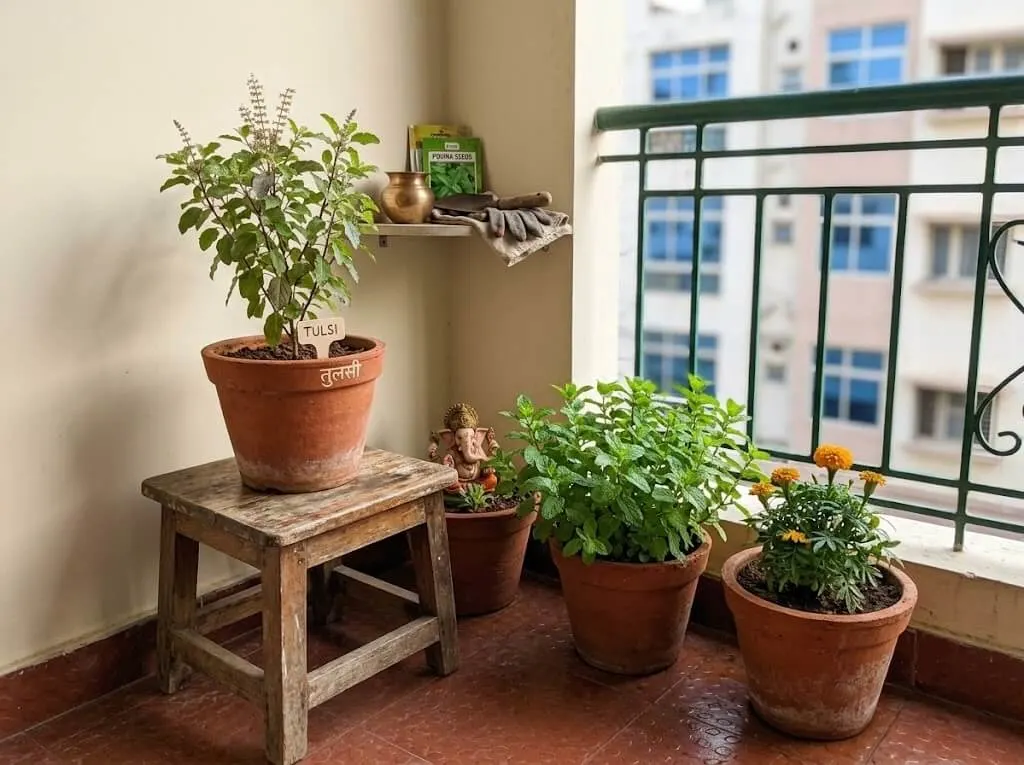 Garden Corner With Wellness in Mind