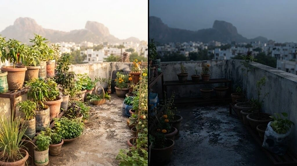 south facing versus north facing balcony sunlight comparison