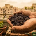 Dark, crumbly finished compost ready for use in Indian container gardens