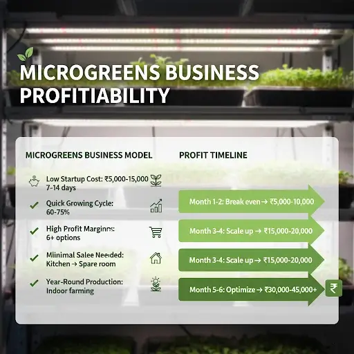 Micogreen_Business_Profitability-Overview
