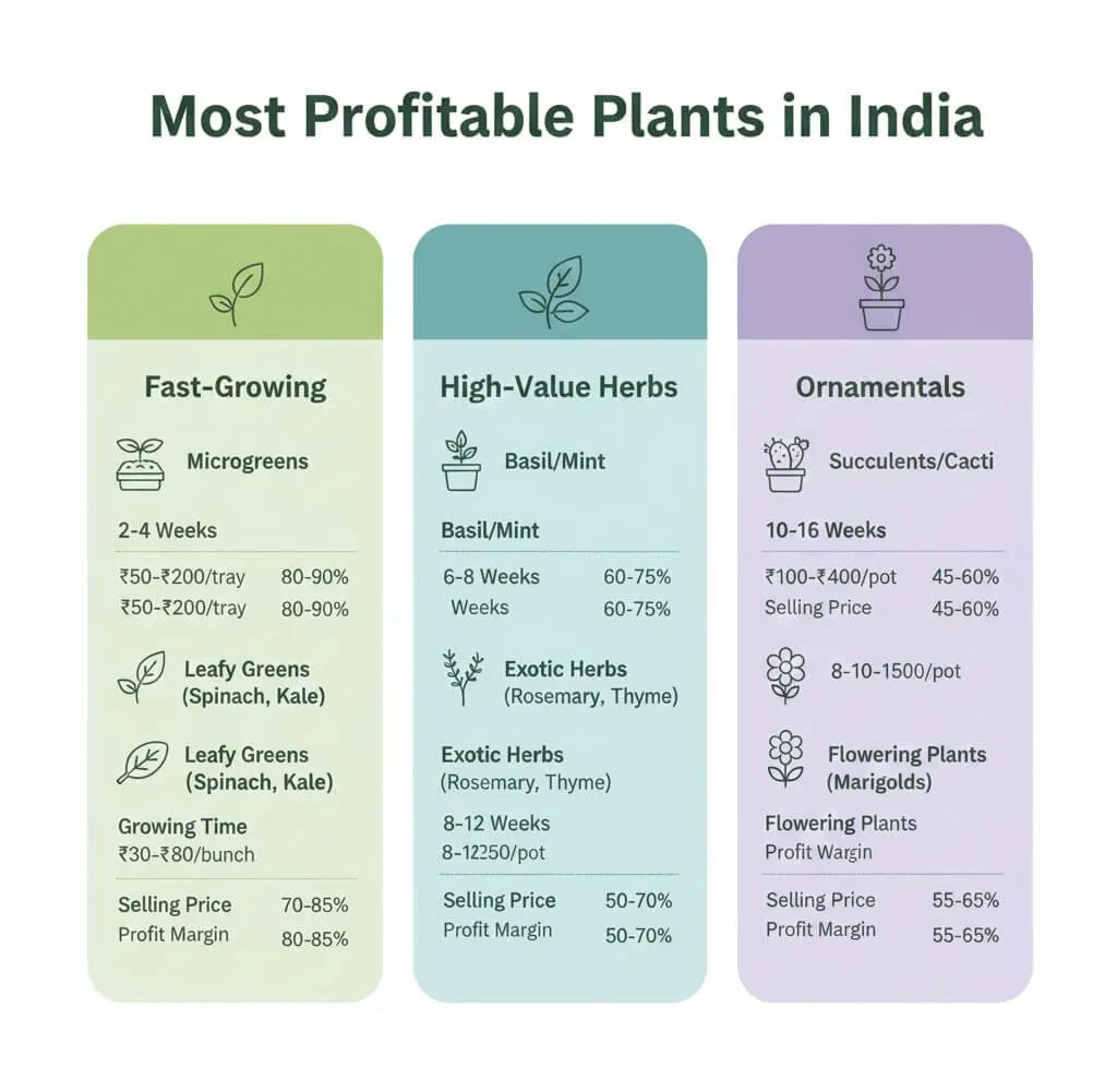 Most profitable plants grow India urban gardening microgreens herbs succulents