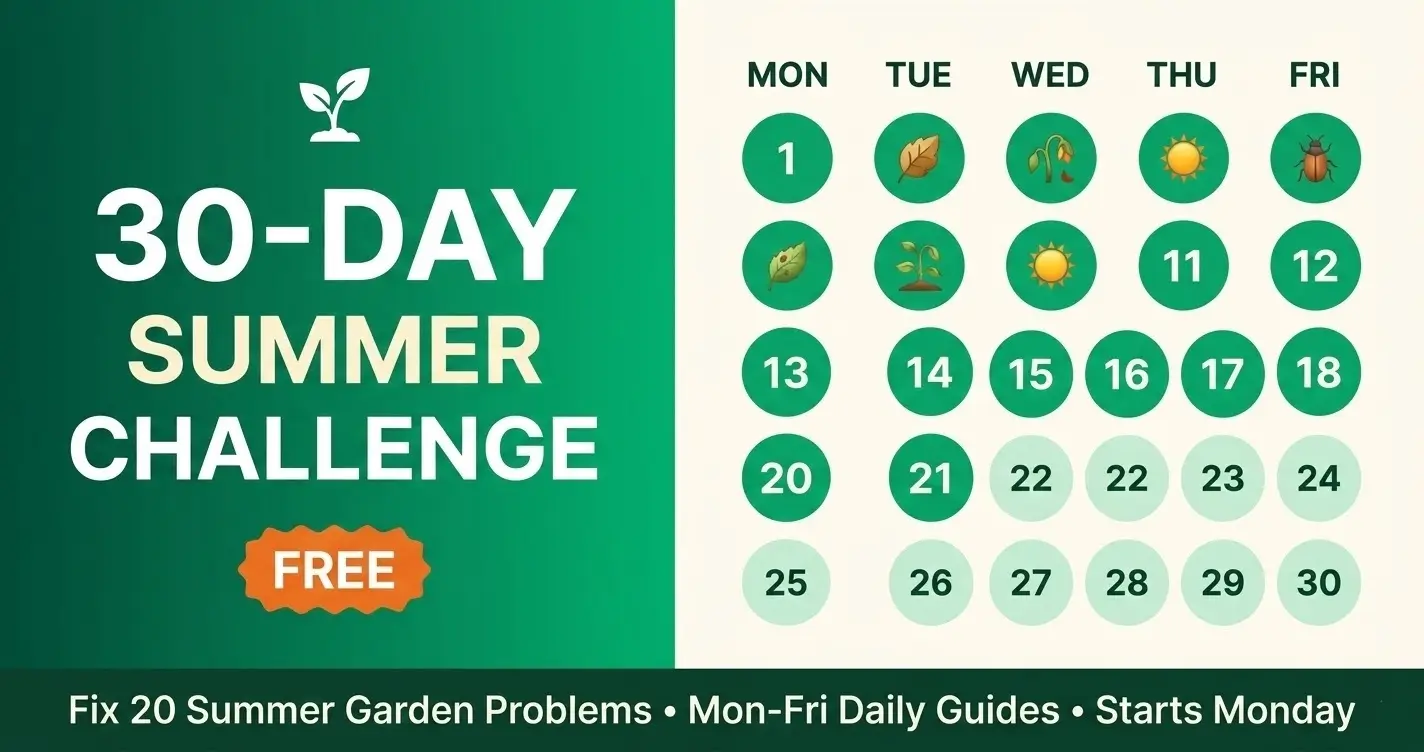 30-Day Summer Gardening Challenge
