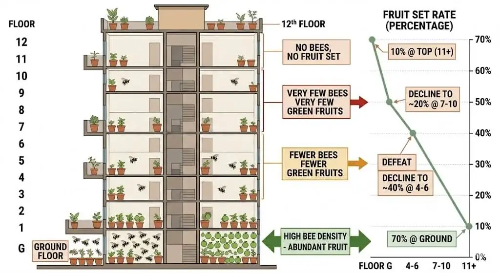Illustration showing Indian apartment building floors with bee access decreasing from ground floor to high rise terrace and corresponding fruit set rates