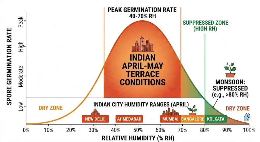 Scientific diagram showing powdery mildew spore germination rates at different humidity levels confirming peak germination at 40-70 percent Indian April conditions