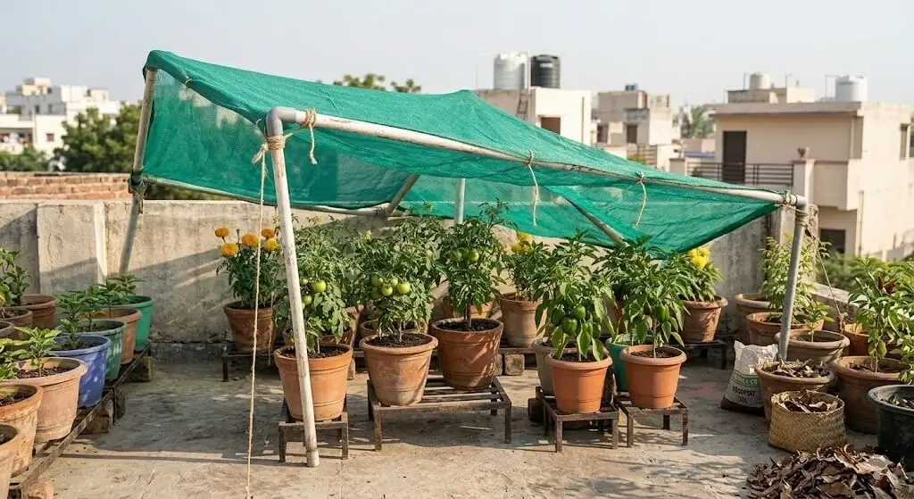 50% green shade net installed over container vegetable garden on Indian terrace to reduce heat and soil temperature