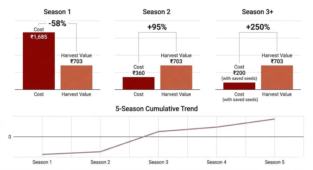 hree bar charts — Season 1 showing negative ROI, Season 2 showing 95% positive ROI, Season 3 showing 150%+ ROI with cumulative 5-season analysis line
