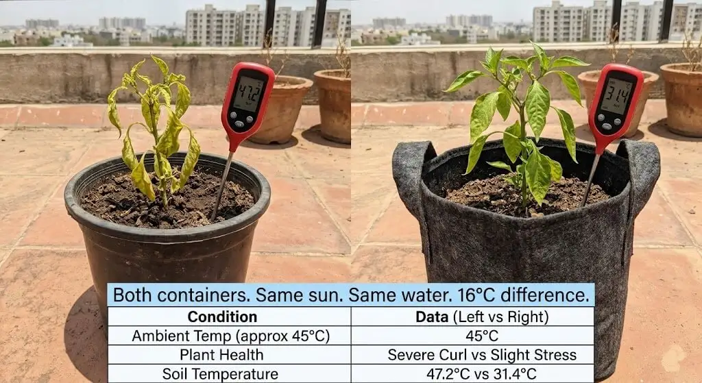 Split data comparison showing black plastic at 47°C vs fabric grow bag at 31°C in Madanapalle April 2025