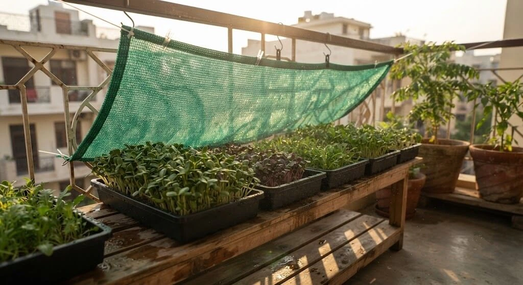 Green shade net installed over microgreens trays on an Indian balcony in summer