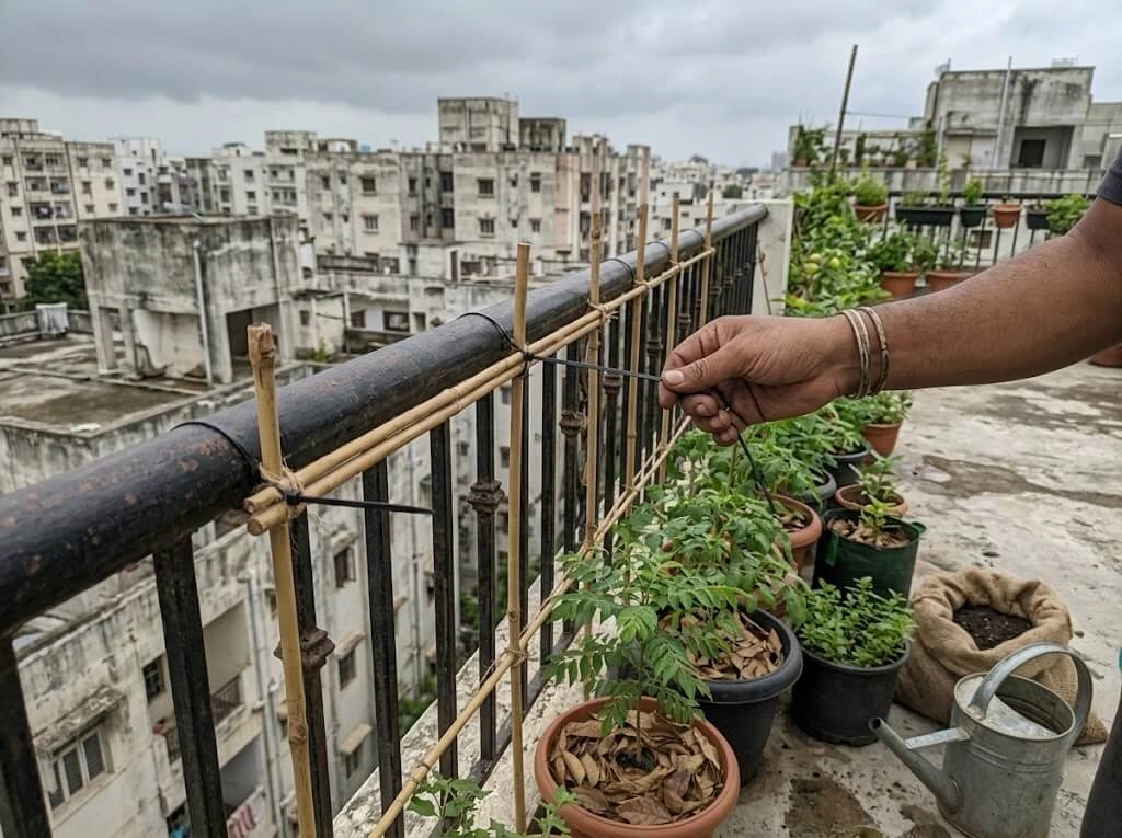 Terrace Waterproofing & Monsoon Prep