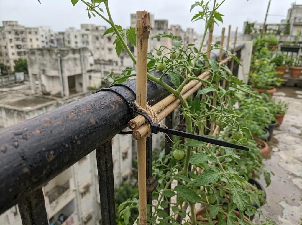 trellis anchored cable tie railing wind damage prevention India